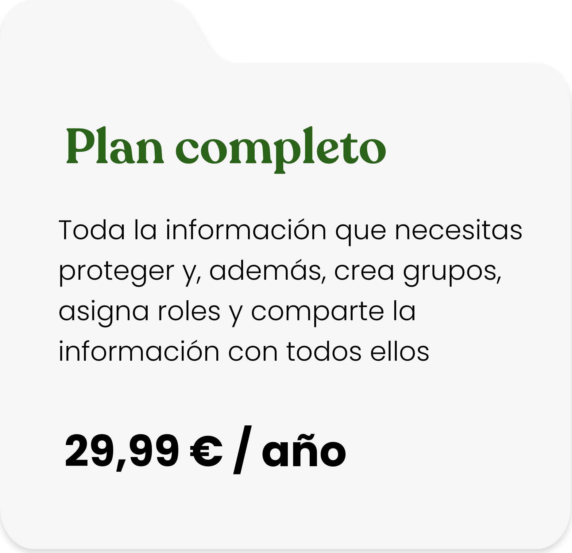 Grupo 1991